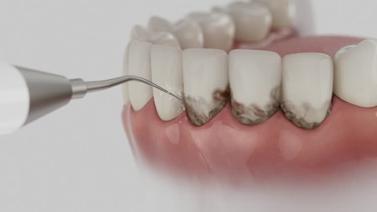 Reliable Dental contractor in Russellville, AL by Dentist Open Now